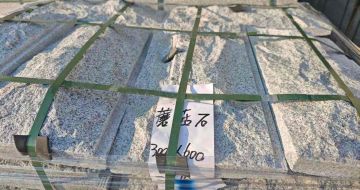 阜新芝麻白蘑菇石，自然面